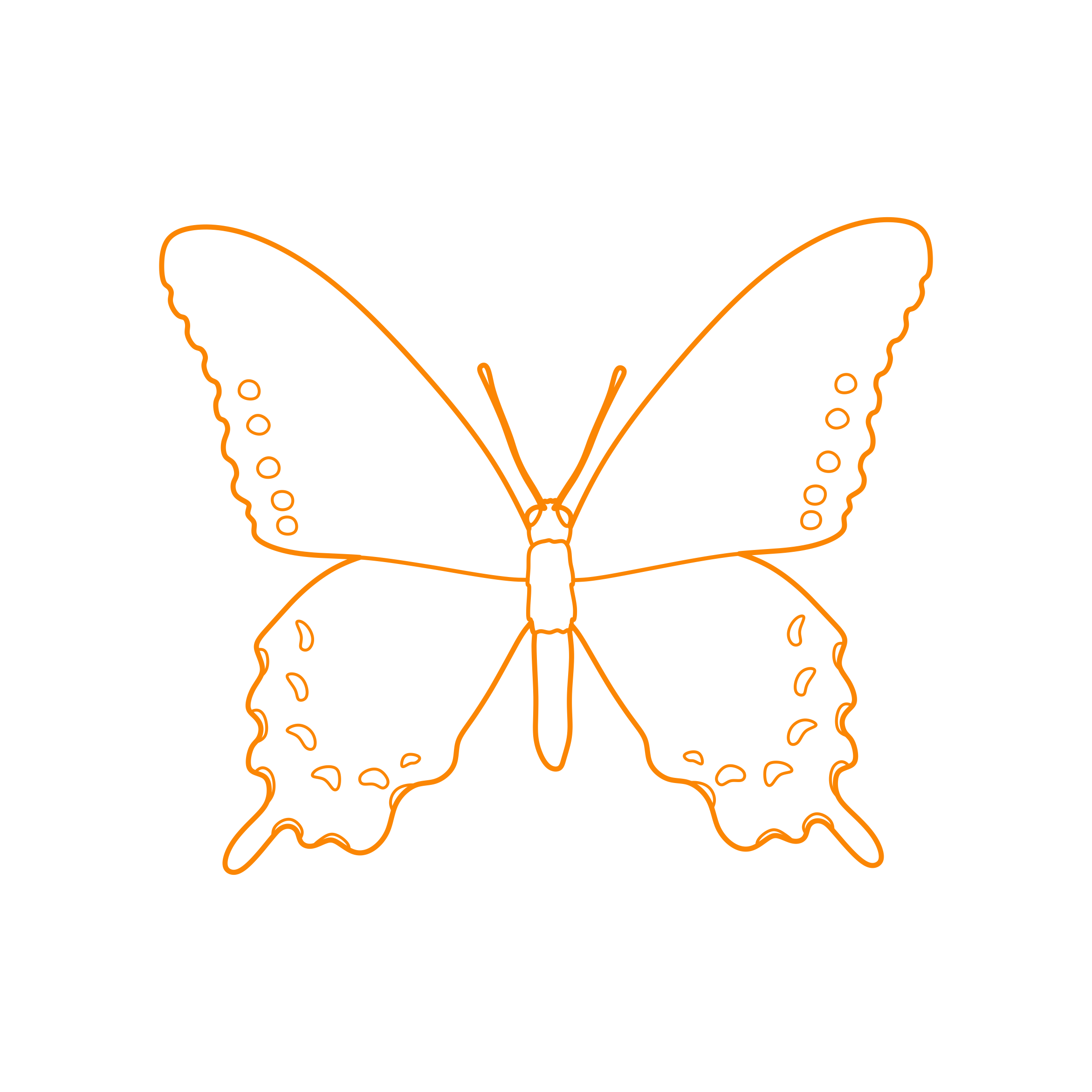 Animals Insects Pipevine Swallowtail Outline Svg Vector Free Vectors